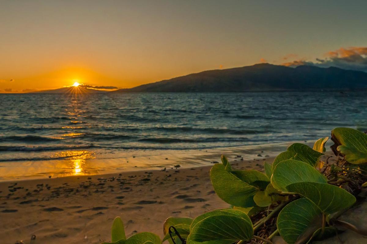 Апартаменты Maui Sunset B-115 Кихей Экстерьер фото